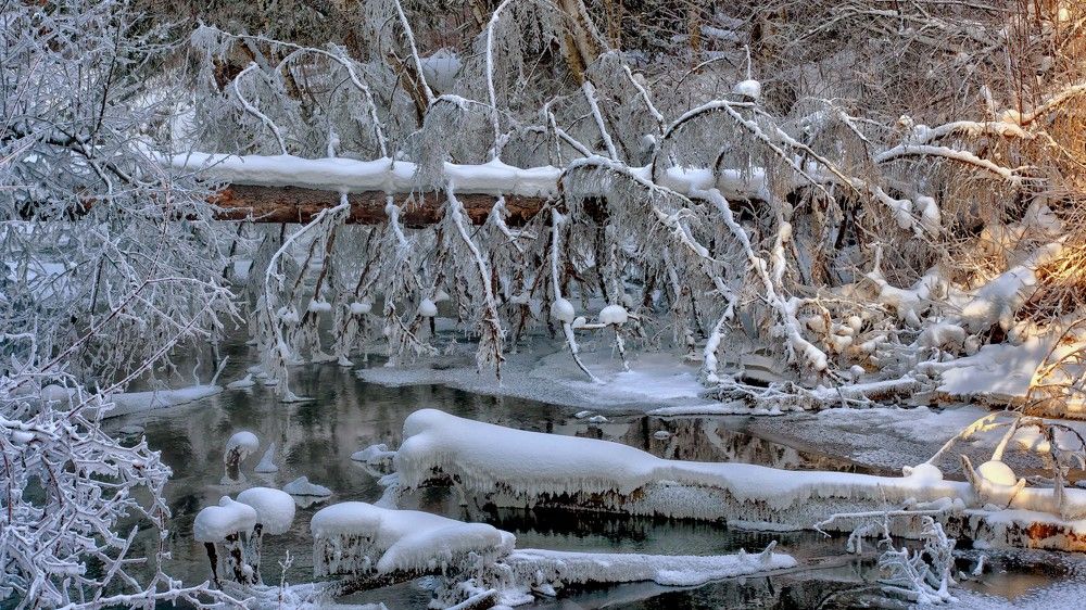 Photograph by Виктор