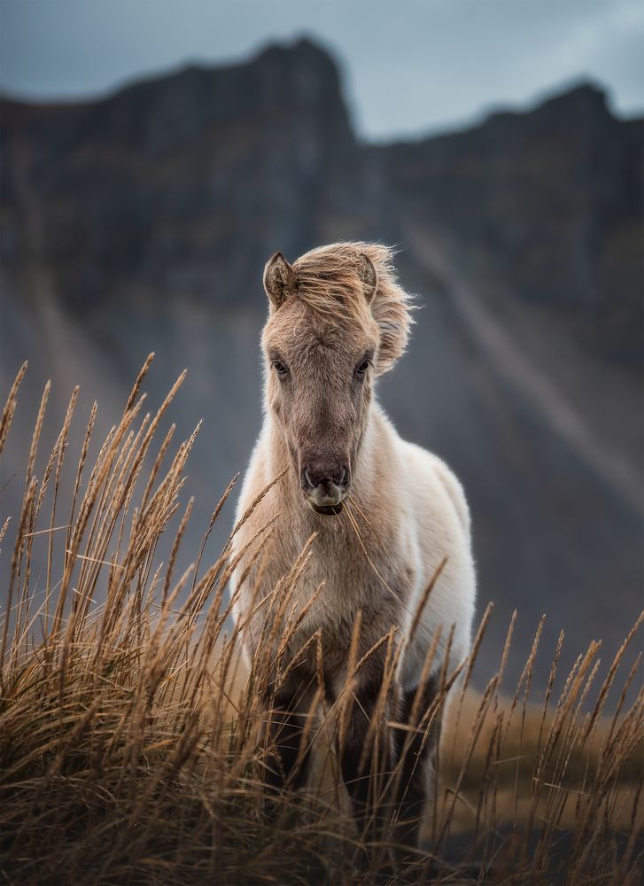 Photograph by Neil Bugeja