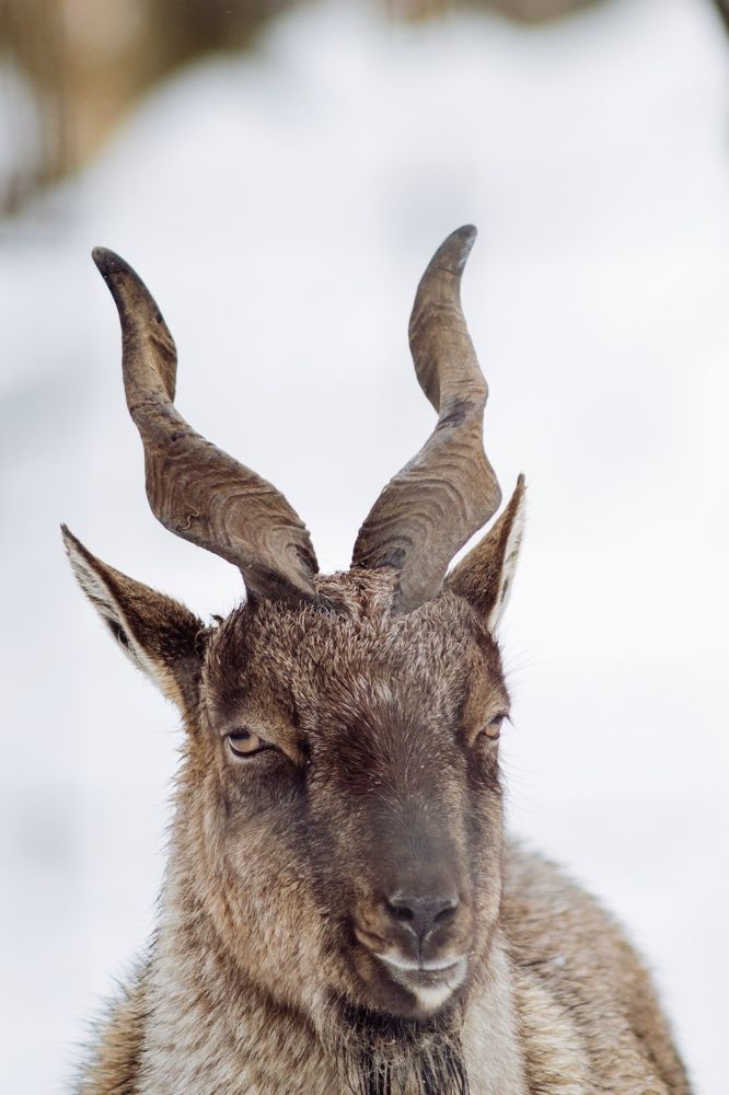 Photograph by Aleksandr Korotkov