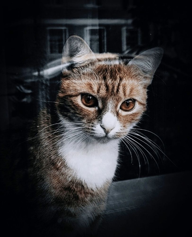 Photograph by Марина Хохрякова