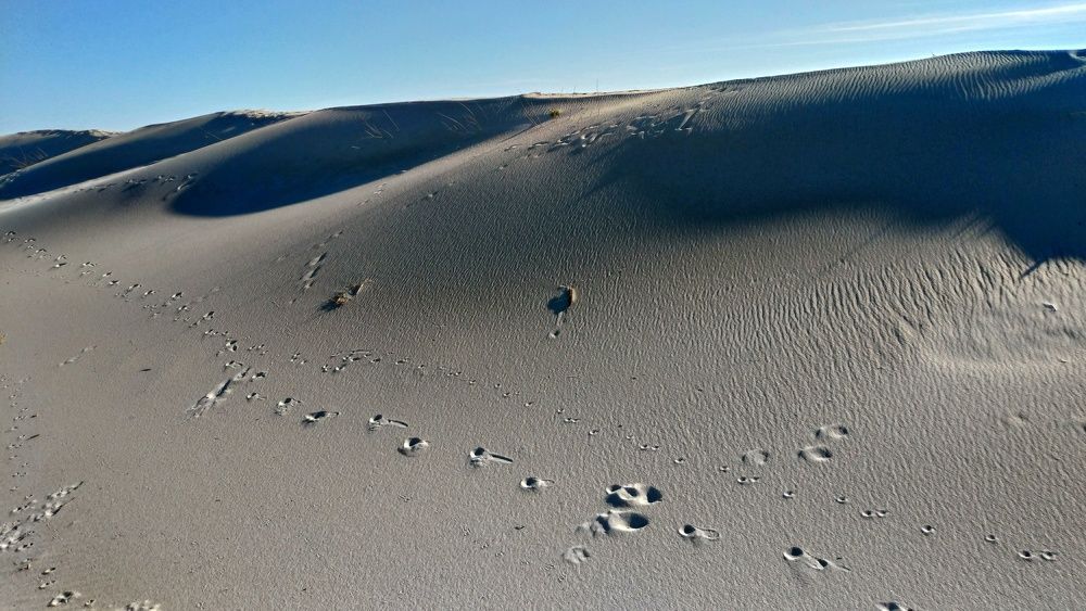 Следы. Footprints