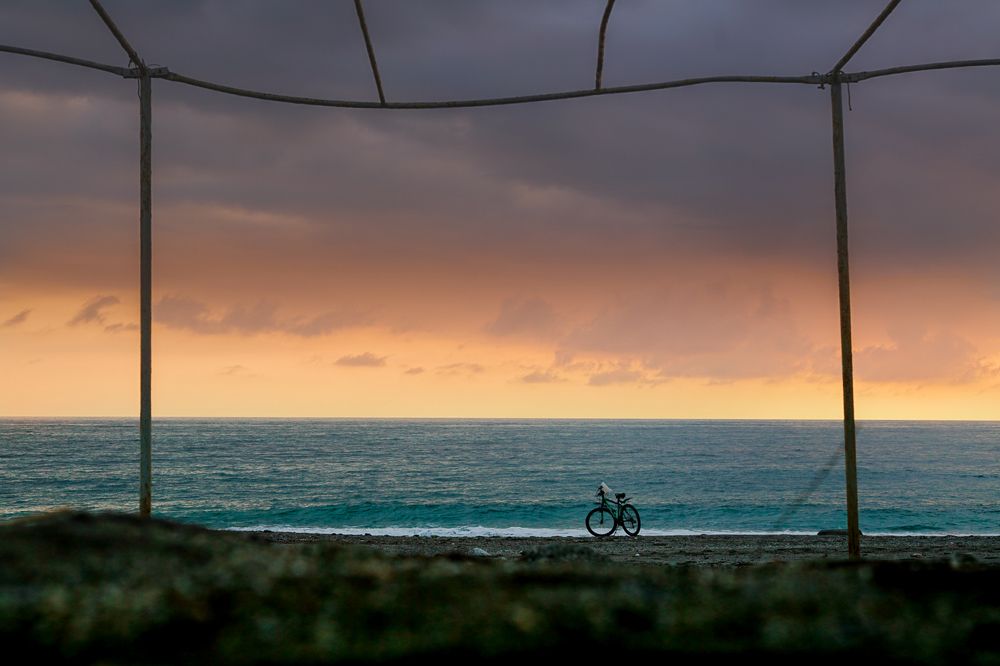 Photograph by Elena Kass