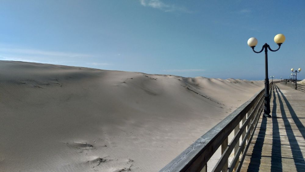 Направление движения. Direction of movement