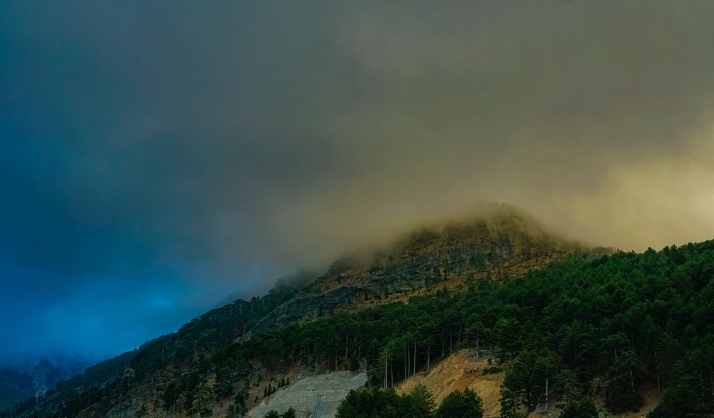 Photograph by Elena Kass