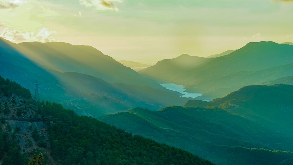 Photograph by Elena Kass