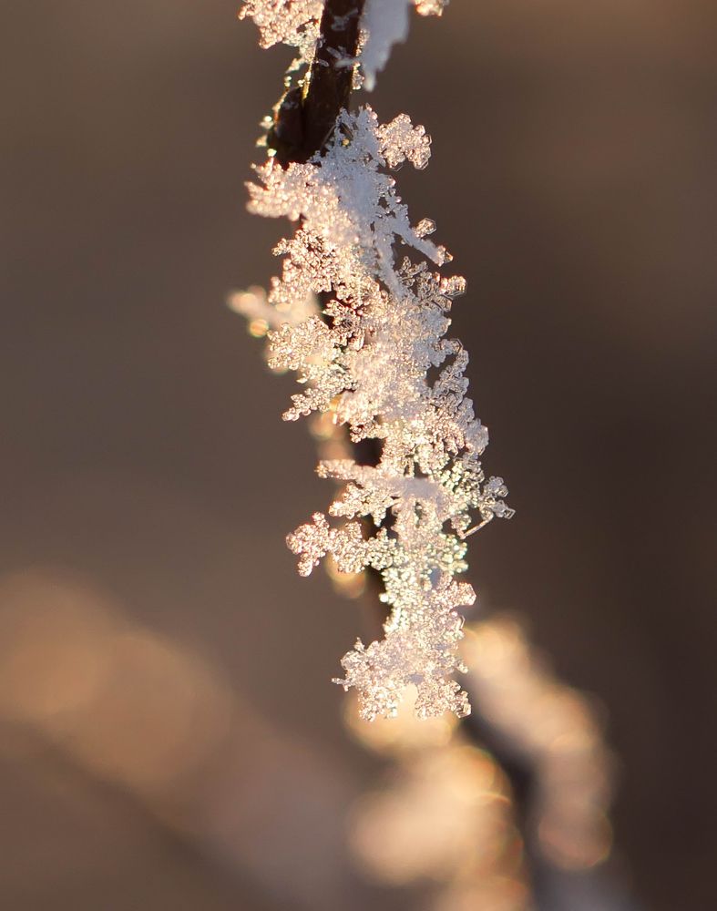 Photograph by Таня Короткова