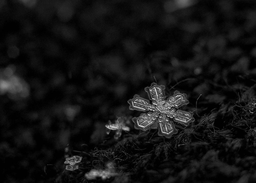 Photograph by Олеся zme