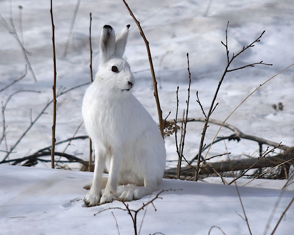 Photograph by @bersenika