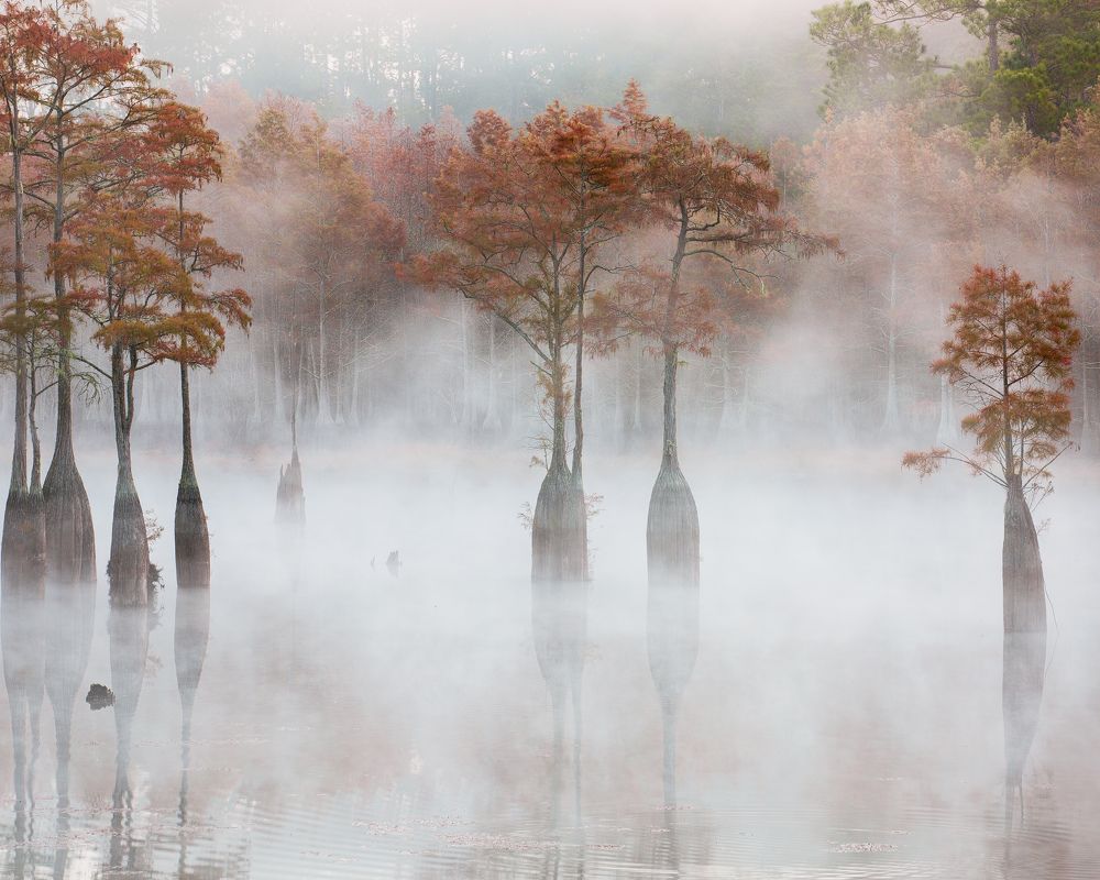 Фотография автора Alex Mironyuk