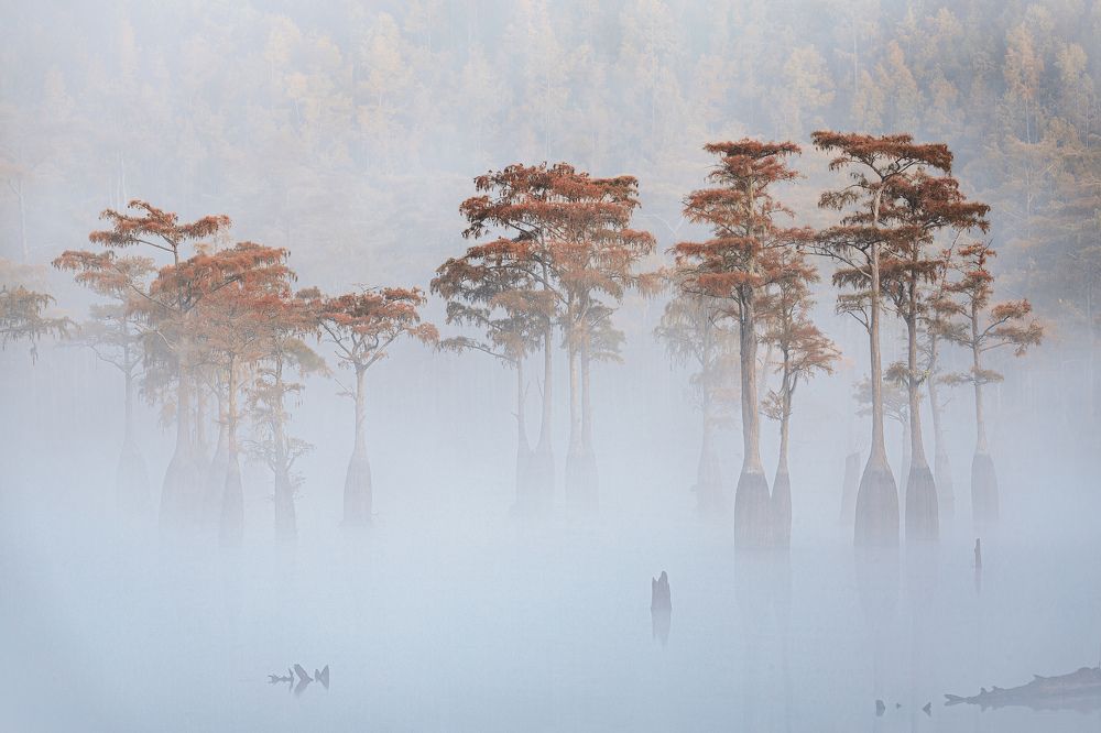 Фотография автора Alex Mironyuk