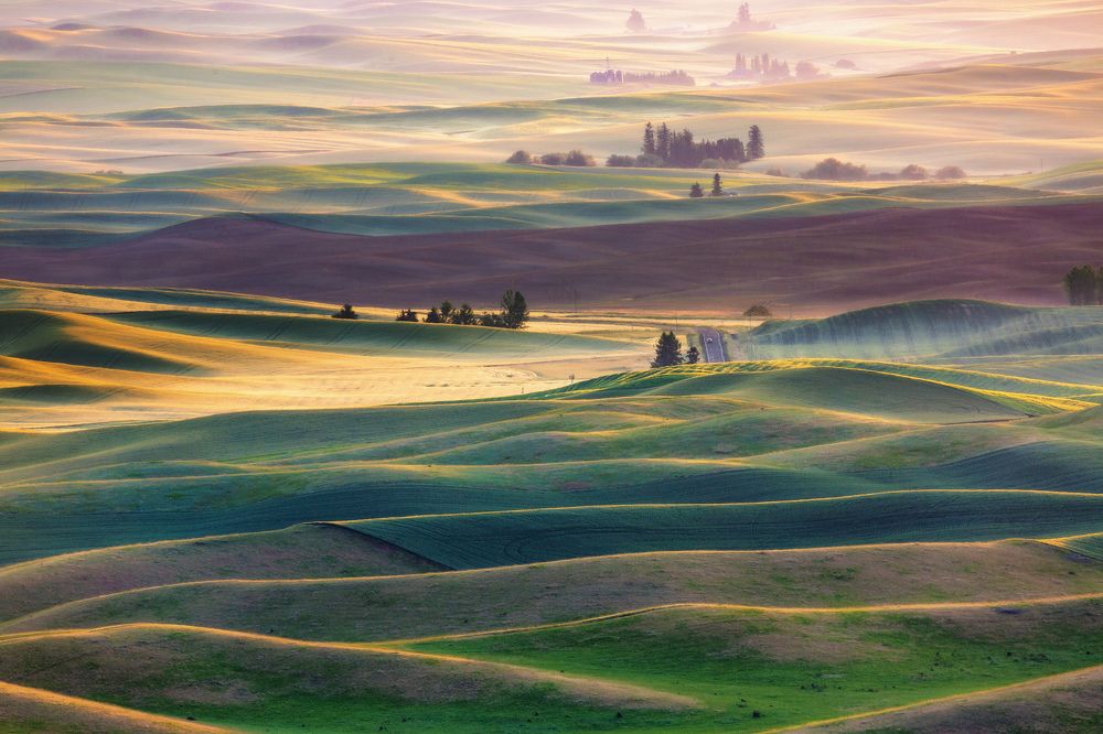 Фотография автора Alex Mironyuk