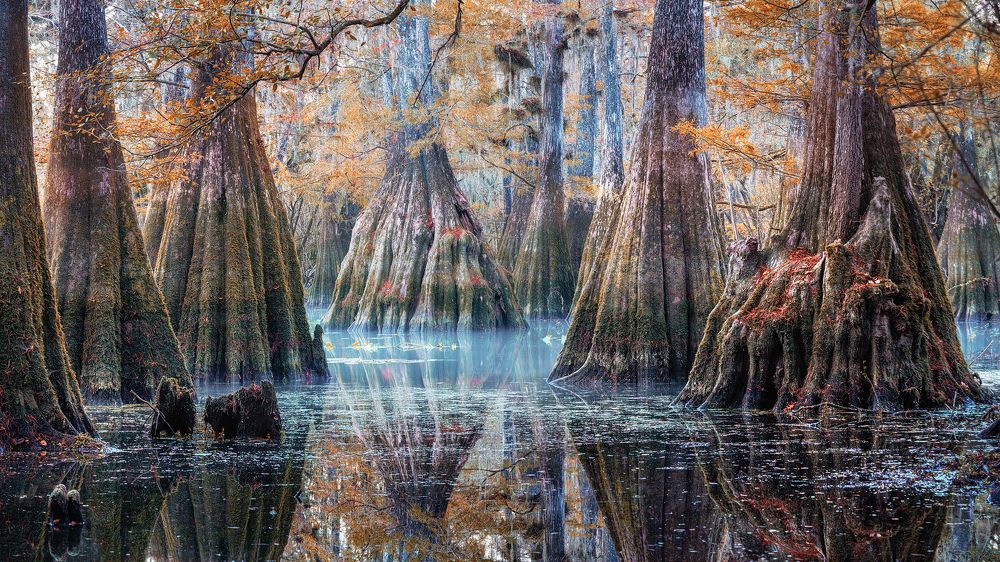 Фотография автора Alex Mironyuk