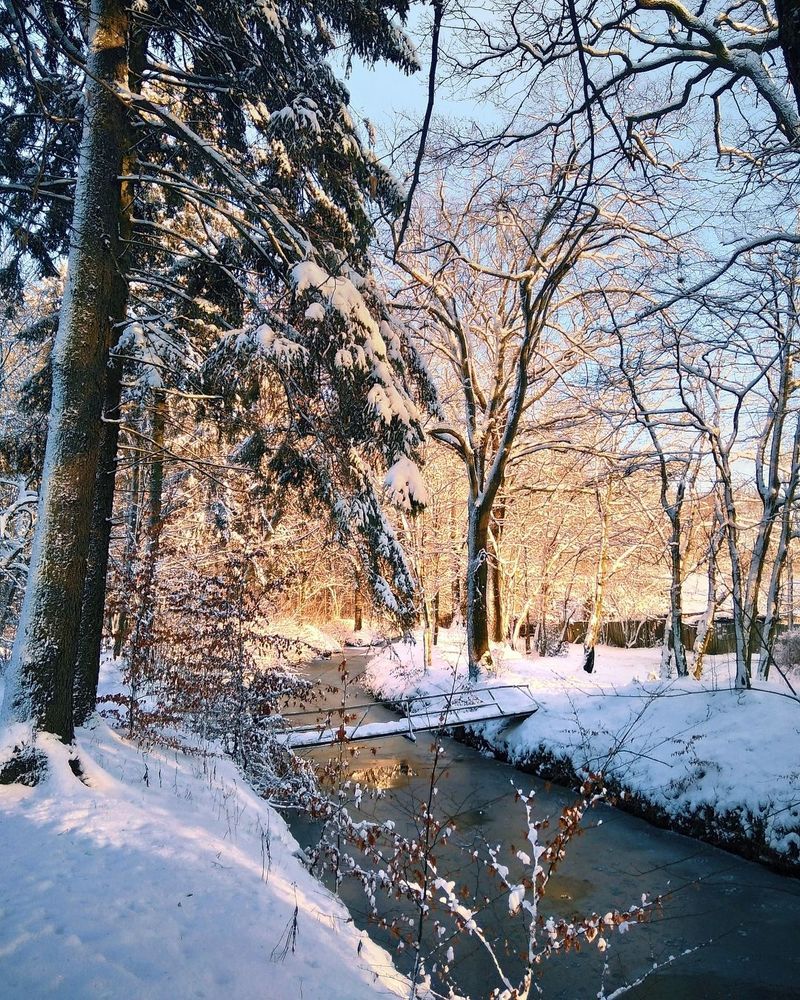 Photograph by Екатерина