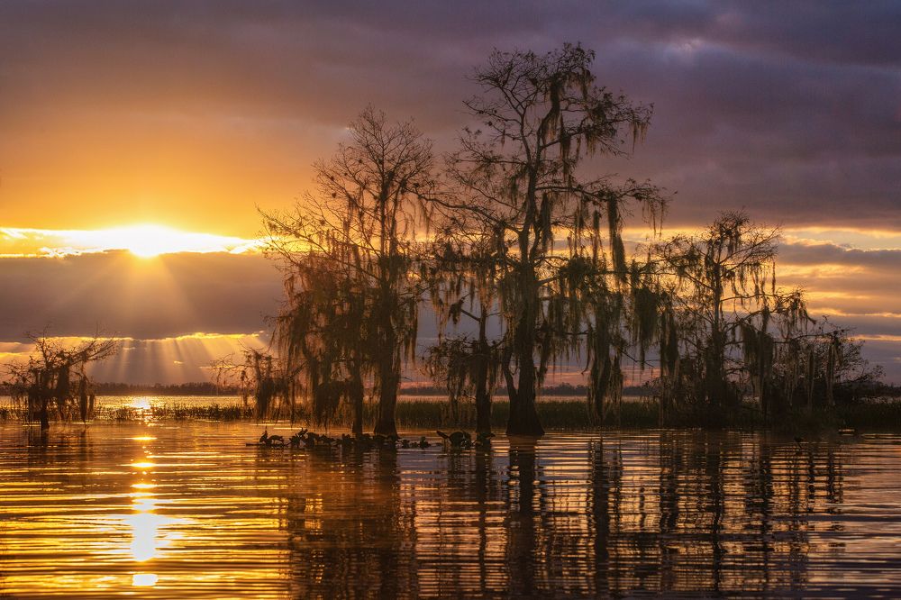 Фотография автора Alex Mironyuk