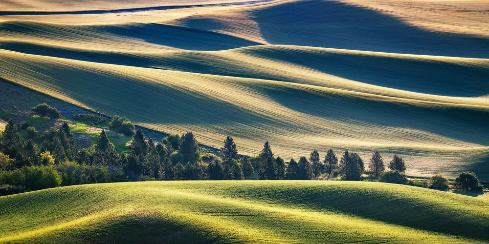 Фотография автора Alex Mironyuk