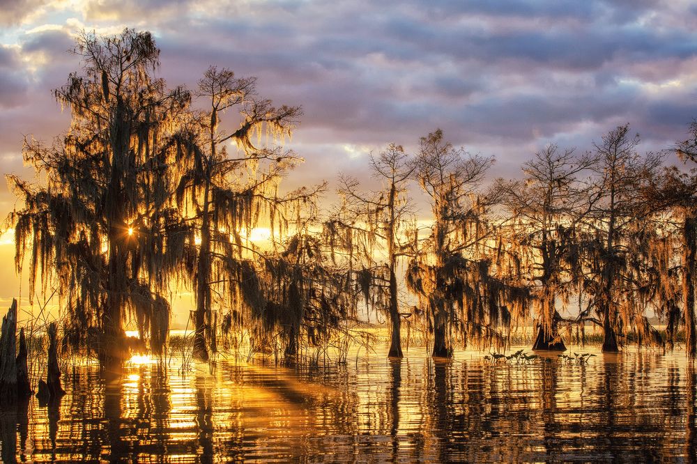 Фотография автора Alex Mironyuk