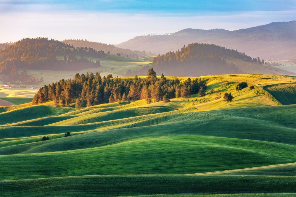 Фотография автора Alex Mironyuk