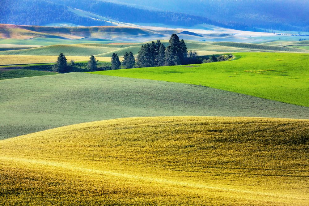 Фотография автора Alex Mironyuk