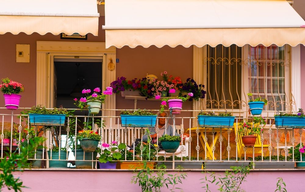 Photograph by Elena Kass