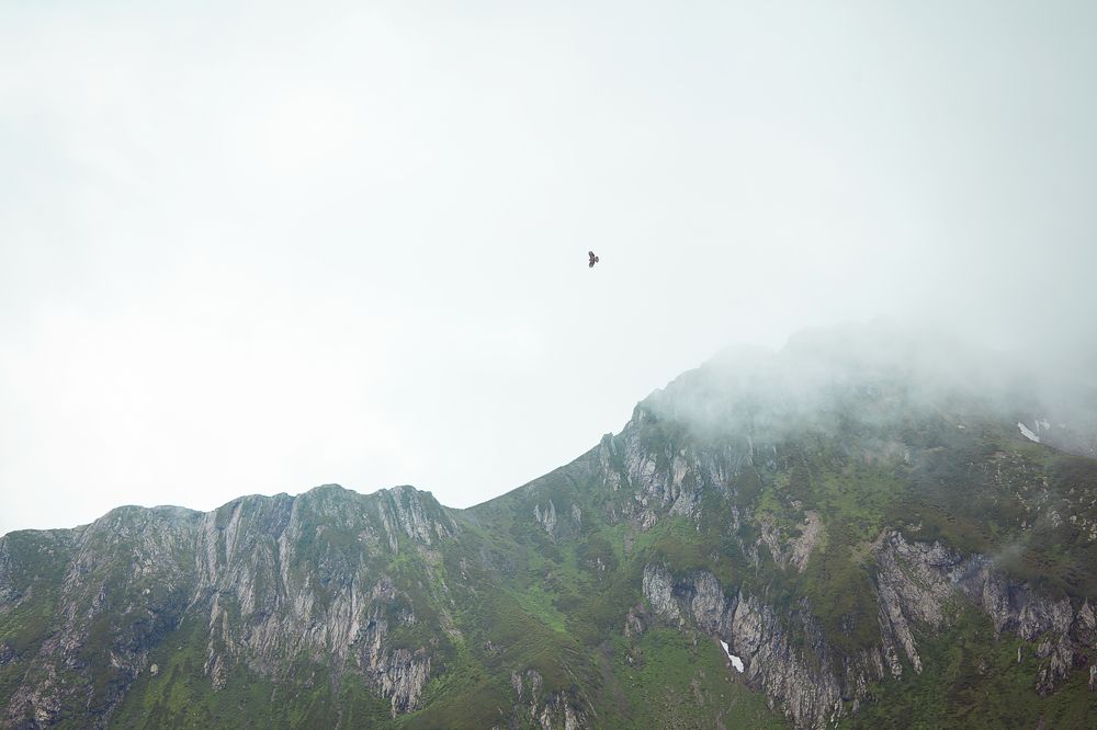 Photograph by Елена Арсенова