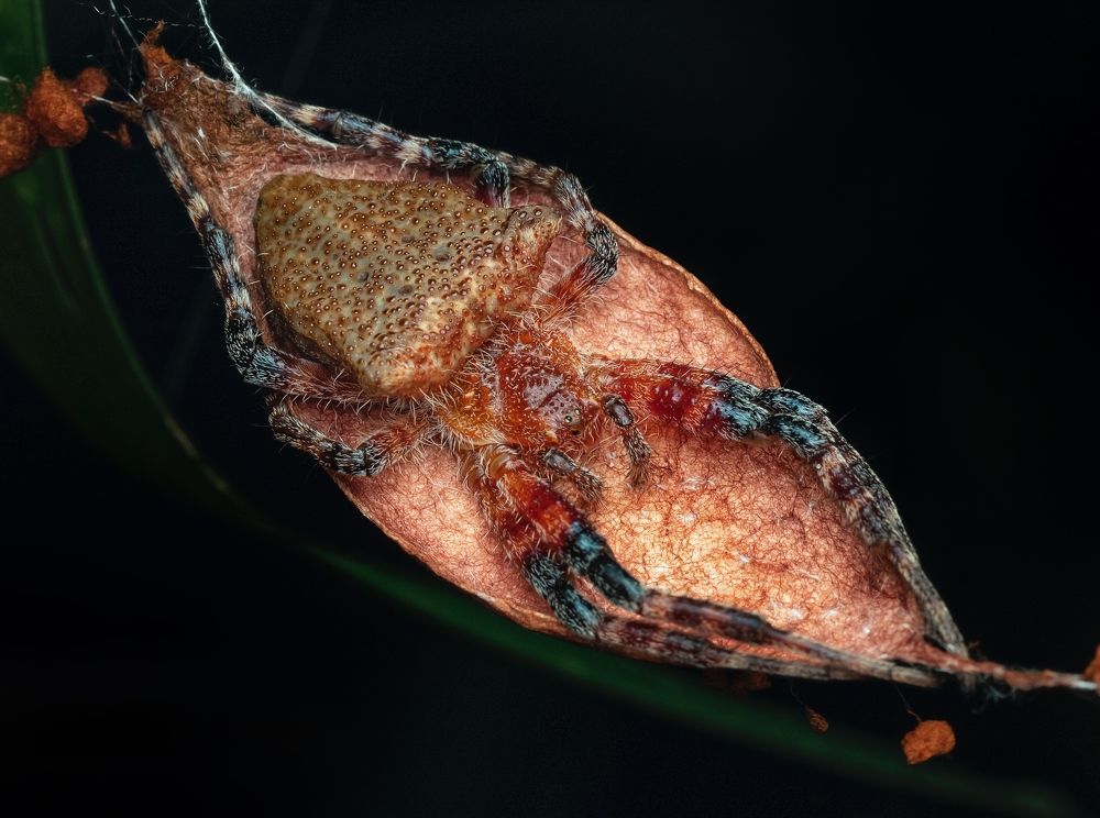 Photograph by Madhan Kumar Balaguru