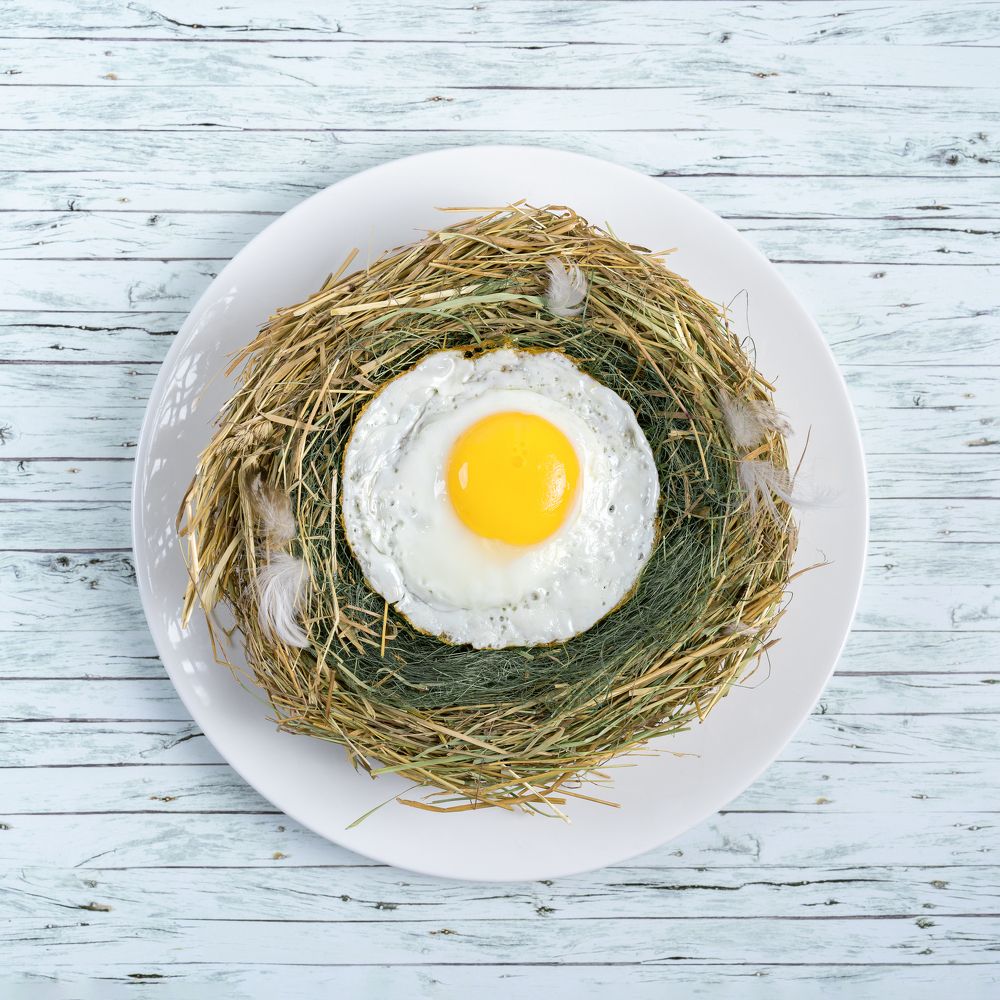 Photograph by Larianna Holm