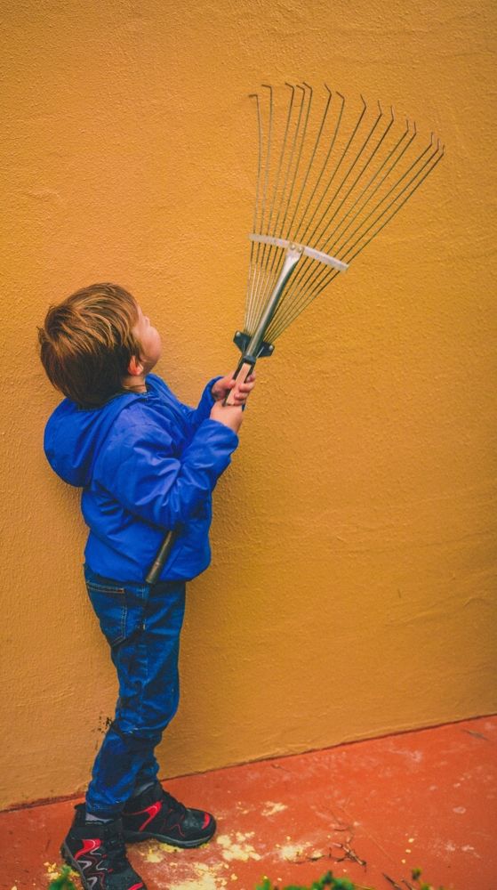 Photograph by Elena Kass