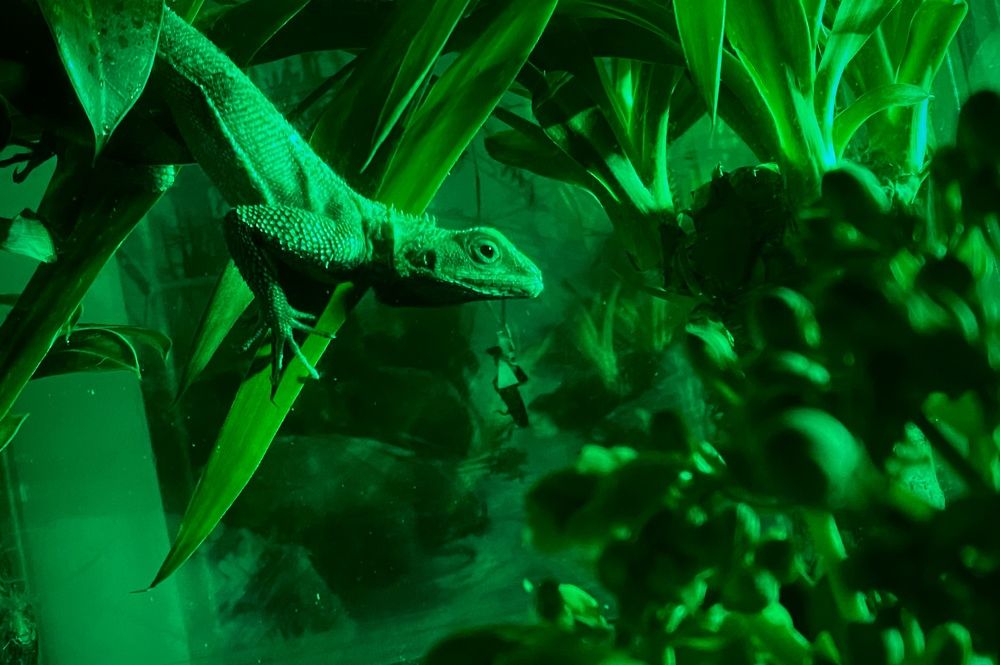 Photograph by Сергей Марченков