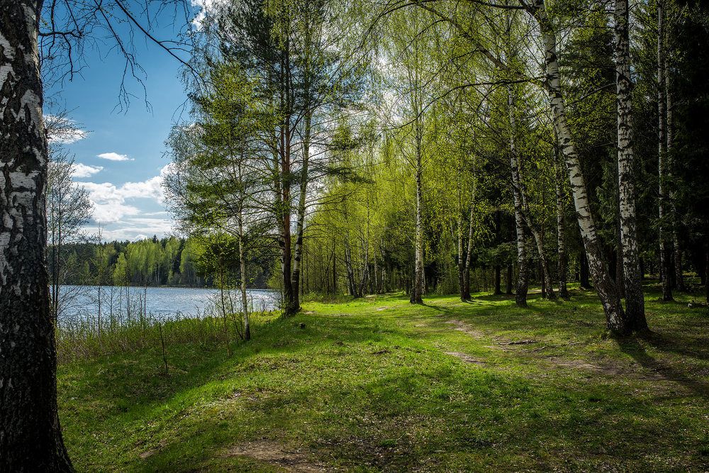 Photograph by Константин Раскудакин