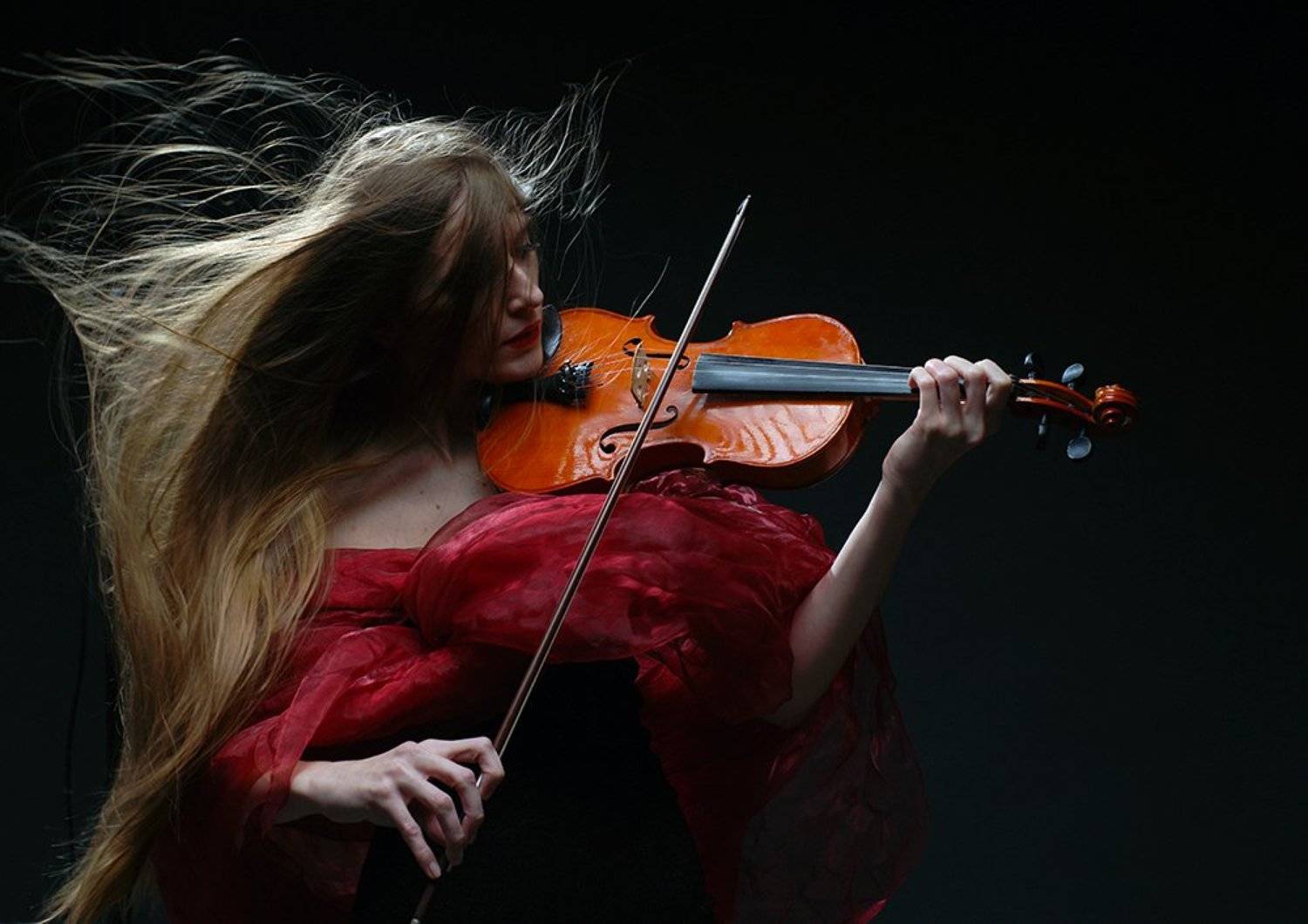 Фотография #5894993