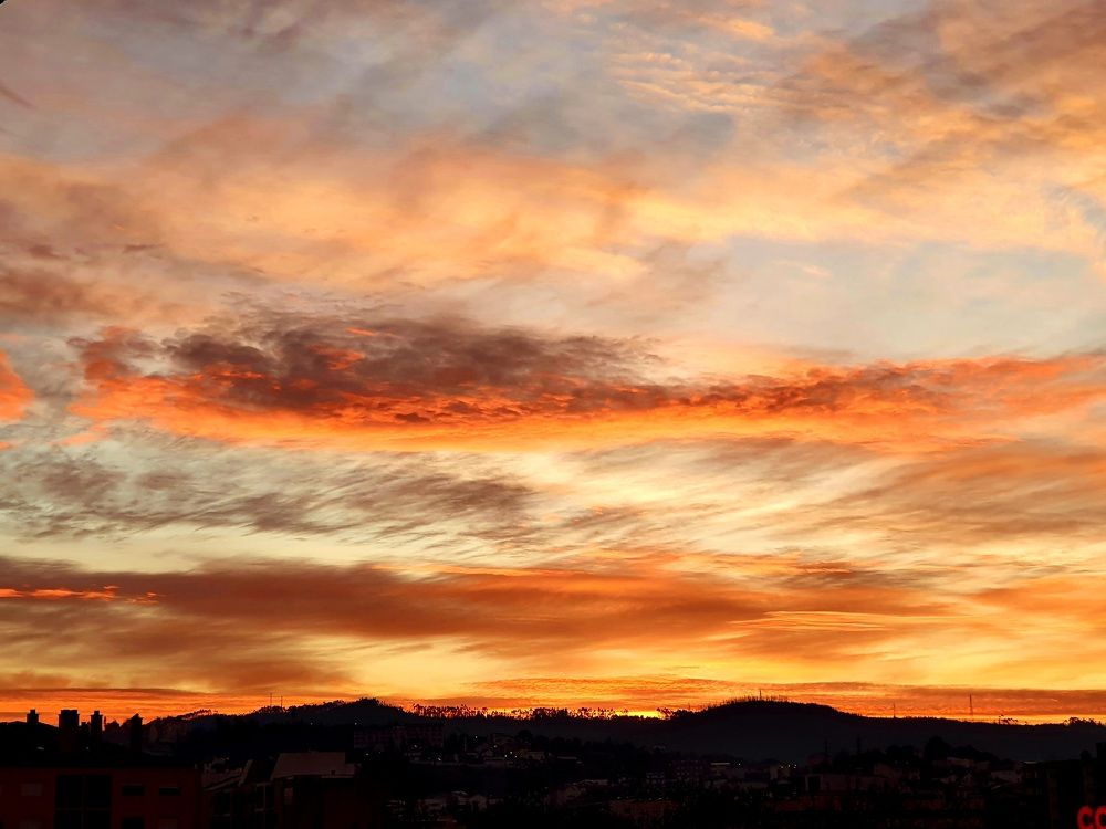 Photograph by Paulo Assis