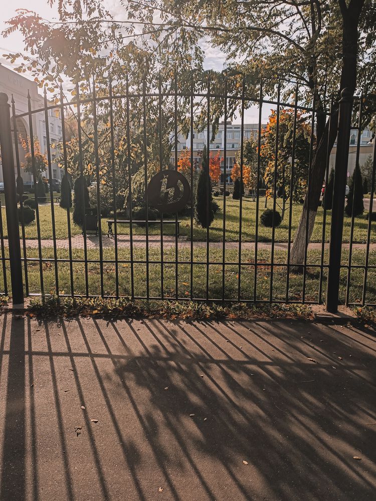 Photo #5895088