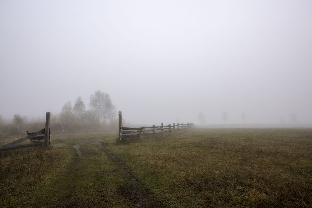 Photograph by Елена Есина