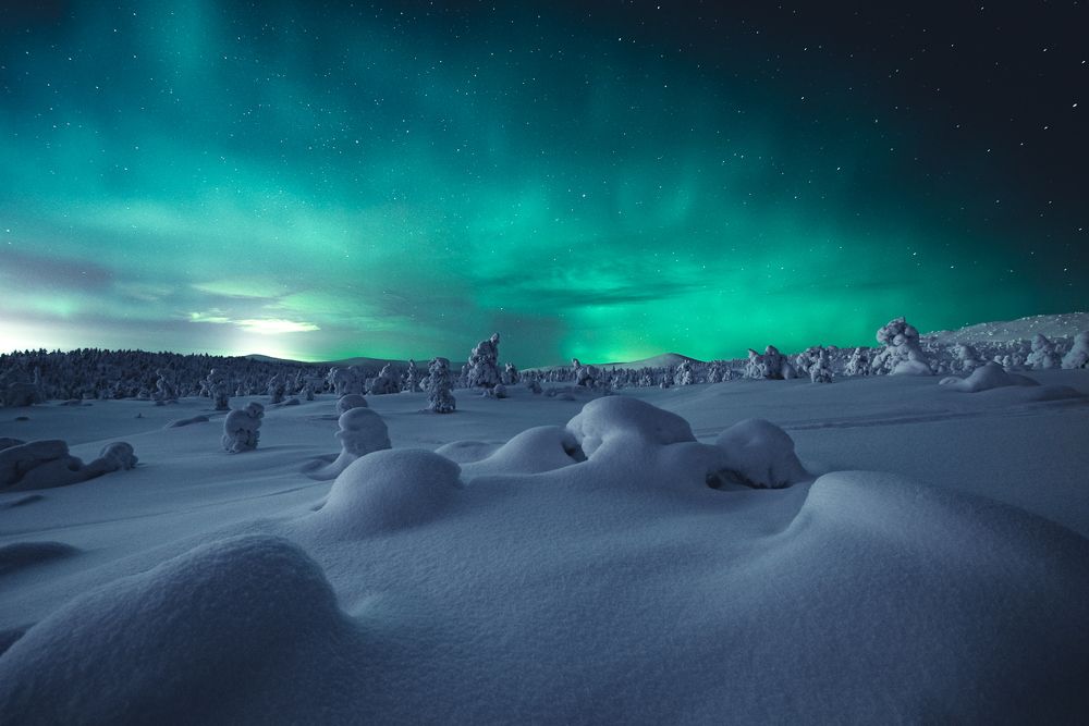 Photograph by Алексей Соколенко