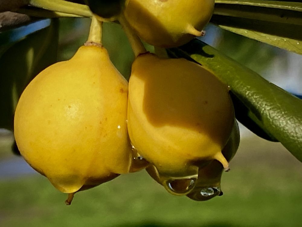 Photograph by Сергей Марченков