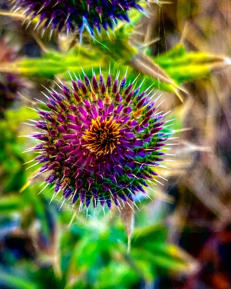 Photograph by Сергей Марченков