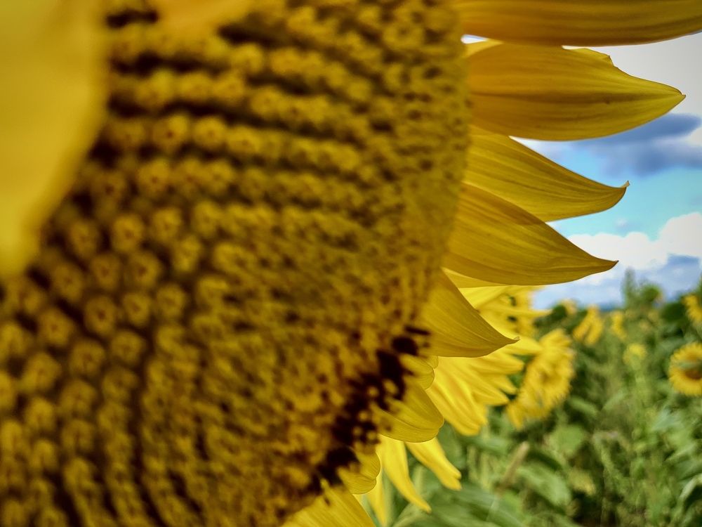 Photograph by Сергей Марченков