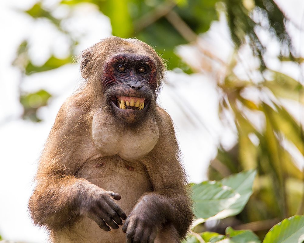 Photograph by Сергей Савви