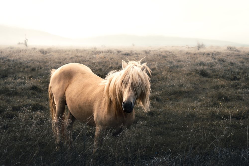 Фотография автора Артем Улькин