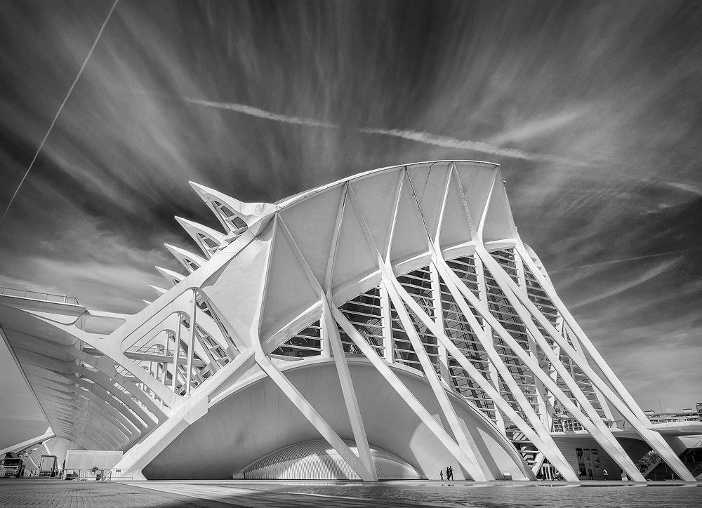 Photograph by Andrii Yurlov