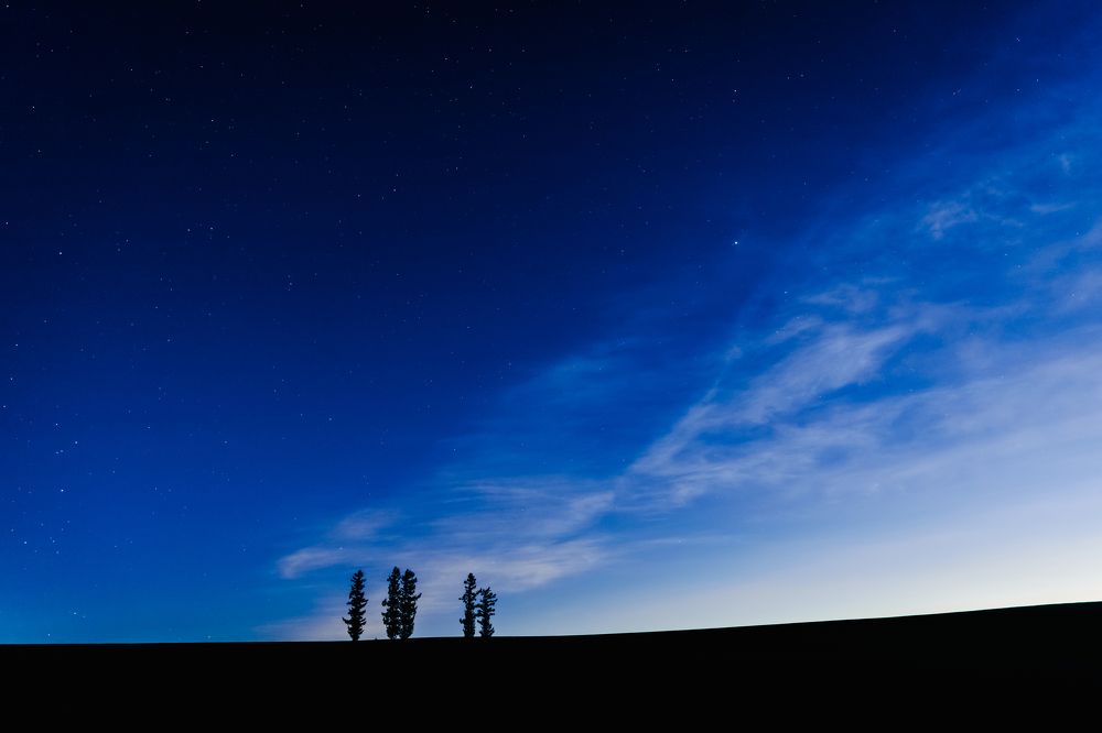 Photograph by Torgayev Tamirlan