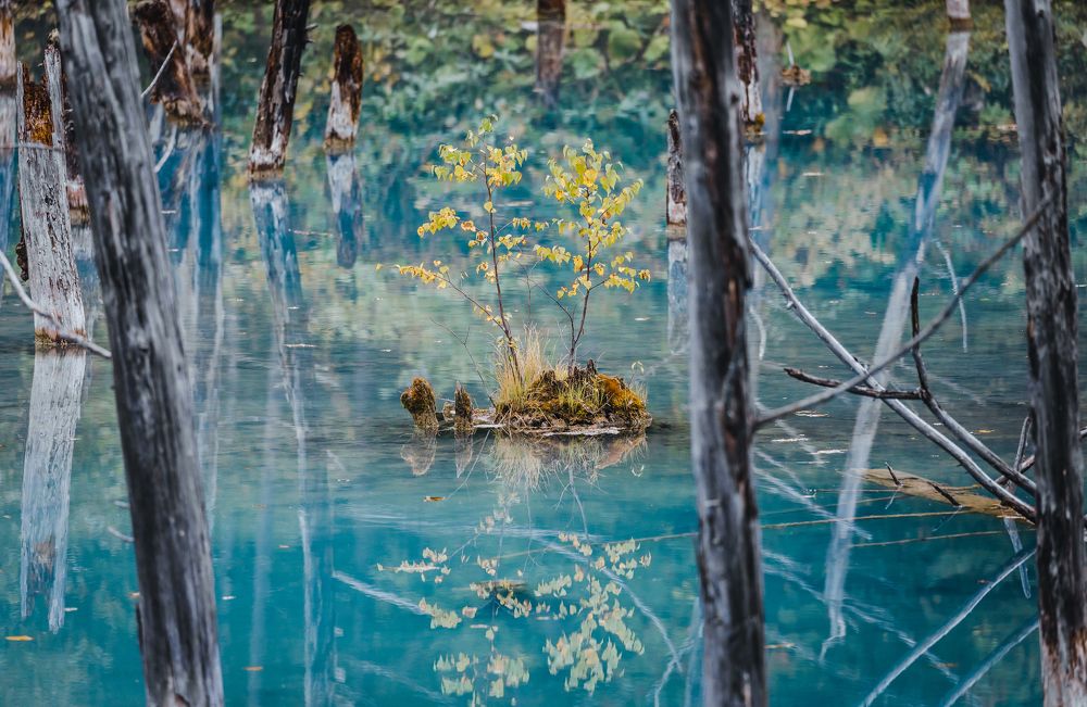 Photograph by Torgayev Tamirlan