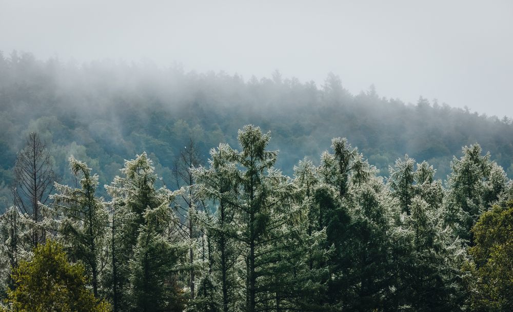 Photograph by Torgayev Tamirlan