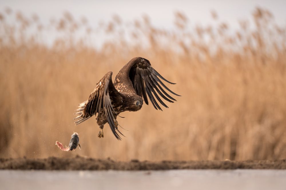 Everything is in the wind