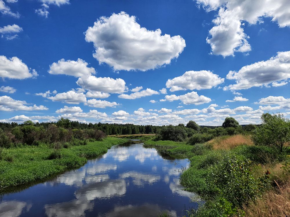 Photograph by Михаил Рассказ