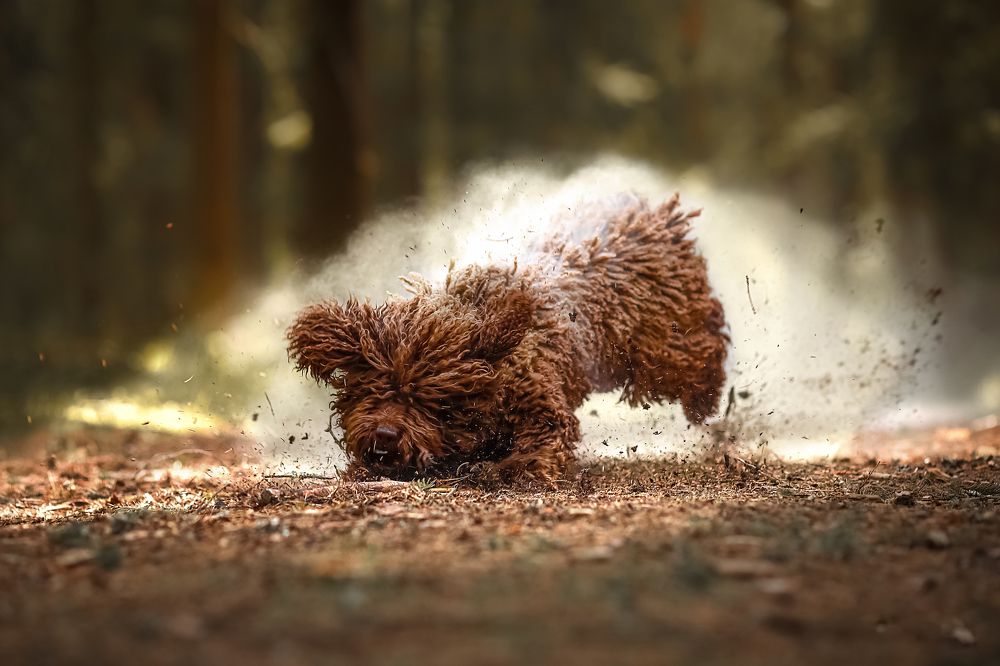 Photograph by Наталия Поникарова