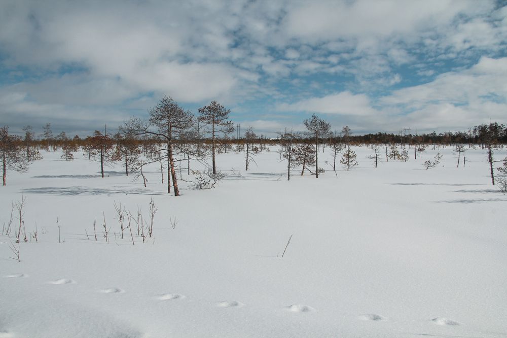 Photograph by Андрей Скрипченко