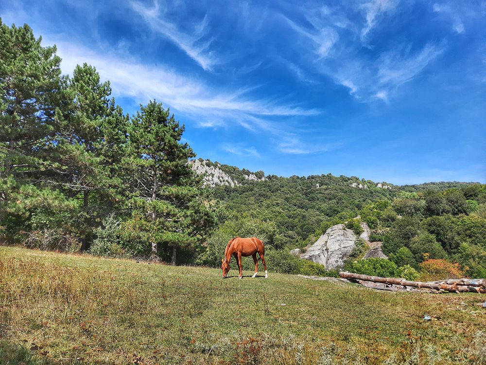 Photograph by Михаил Рассказ