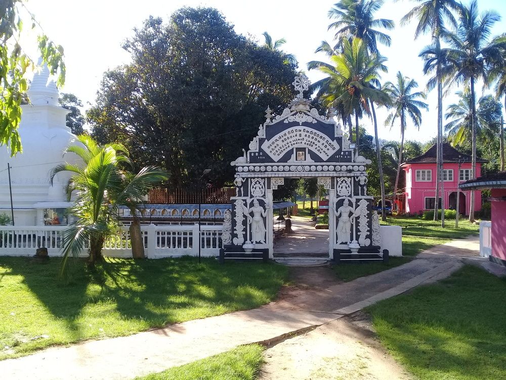 Photo #5895415
