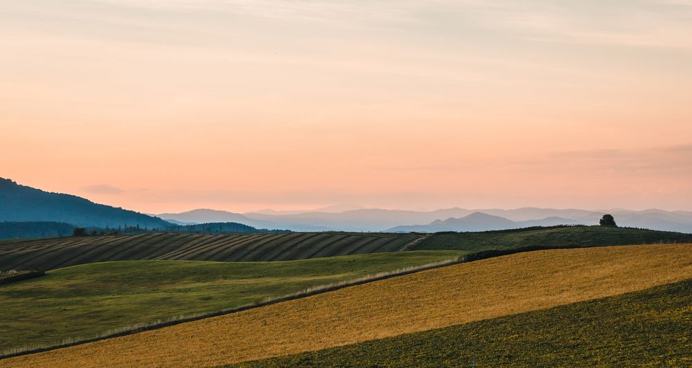 Photograph by Torgayev Tamirlan